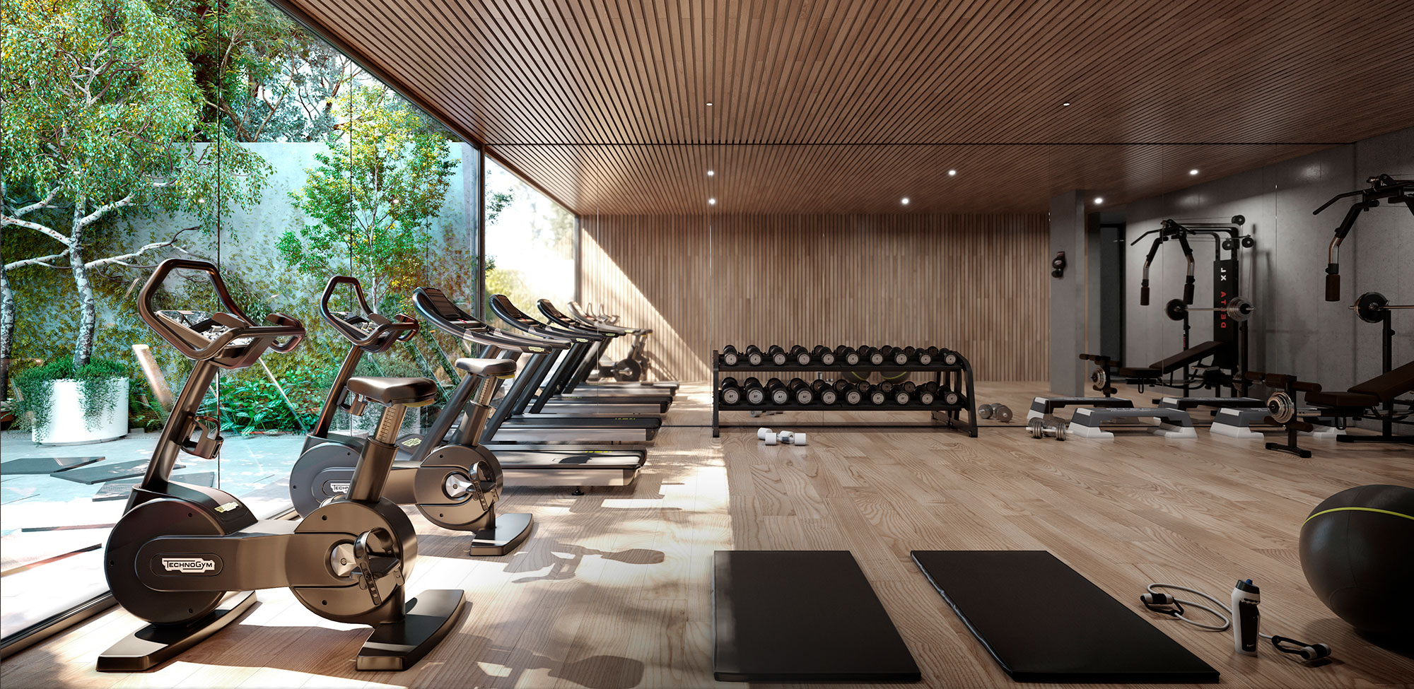 Gimnasio